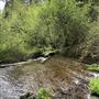 Mt. Shasta City Park