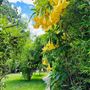 Beautiful Villa with a beautiful backyard on a large lot