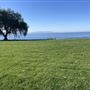 Catalina View Gardens aka Point View