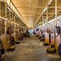 Los Angeles Equestrian Center - LAEC