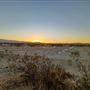 Desert Bliss