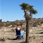 Desert Bliss