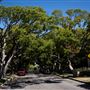 City of El Segundo