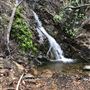 Cleveland National Forest