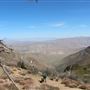 Cleveland National Forest