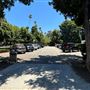 Lacy Park