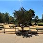 Lacy Park