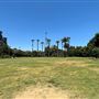 Lacy Park