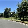 Lacy Park