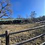 Tehachapi Log Cabin