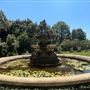 Huntington Library, Art Museum, and Botanical Gardens