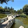 Huntington Library, Art Museum, and Botanical Gardens