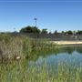 Hansen Dam Recreation Center / Department of Recreation & Parks City of Los Angeles' Land Leased From U.S. Army Corps of Engineers