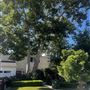 Rancho Park Traditional 1930 Home