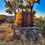 Desert Willow Ranch