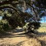 Malibu Creek State Park (SP)