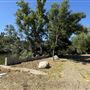 Malibou Lake Mountain Club
