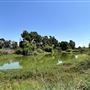 Woodley Lakes Golf Course