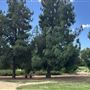 Sepulveda Basin Wildlife Preserve / Woodley Park