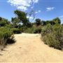 Sepulveda Basin Wildlife Preserve / Woodley Park
