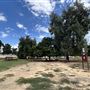 Woodley Park