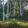 Burleigh H. Murray Ranch Park Property