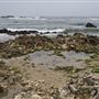 Pescadero State Beach (SB)
