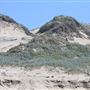 Pescadero State Beach (SB)