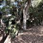 Orcutt Ranch Horticultural Center & Community Garden