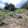 Hillside Homestead