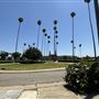 Home of Peace Memorial Park and Mortuary