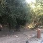 Rancho Kit (2)
