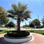 Los Angeles National Cemetery - Department of Veterans Affairs - National Cemetery Administration