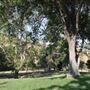 Ed Davis Park in Towsley Canyon - Santa Monica Mountains Conservancy - SMMC