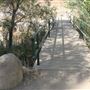 Ed Davis Park in Towsley Canyon - Santa Monica Mountains Conservancy - SMMC