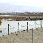 Alviso