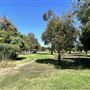 Shadow Ranch Park