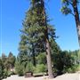 Kings Beach State Recreation Area (SRA)