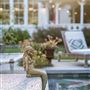 Vintage Schoolhouse and Gardens