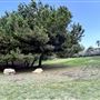 Shatto Recreation Center