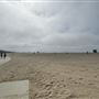 Santa Monica State Beach (SB) / Pacific Park Santa Monica Pier