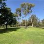 Elysian Park - Angels Point