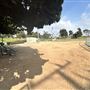 Edward Vincent Park