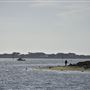 Spud Point Marina