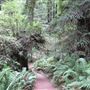 Stillwater Cove Regional Park
