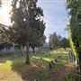 Hollywood Forever Cemetery