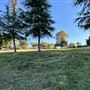 Serrania Park