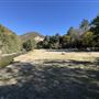 Camp Williams Resort