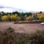 Andrade Grove Family Farm