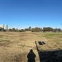 Cheviot Hills Park